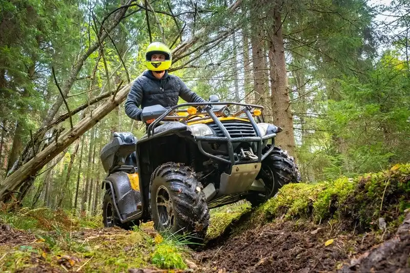 VTT tout-terrain en forêt